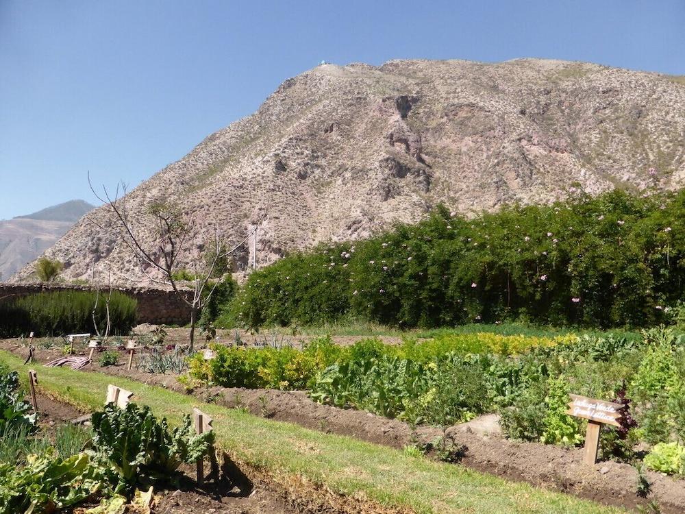Hotel La Casona De Yucay Valle Sagrado أُروبامبا المظهر الخارجي الصورة